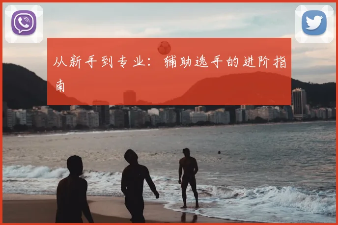 从新手到专业：辅助选手的进阶指南