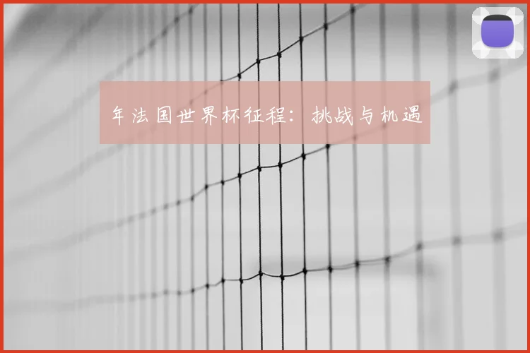 年法国世界杯征程：挑战与机遇