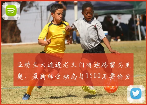 亚特兰大追逐尤文门将迪格雷戈里奥,最新转会动态与1500万要价分析