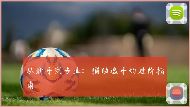 从新手到专业：辅助选手的进阶指南